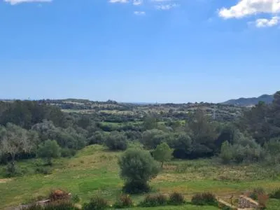 Finca for sale 3 km from Manacor — photo 9