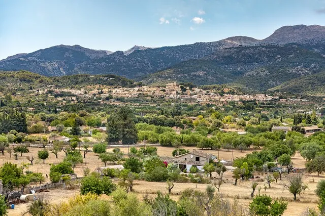 Rustic finca on a large countryside plot for sale in Selva, central Mallorca — photo 1