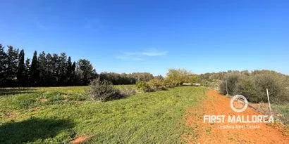 Real estate picture 0 Ref. No. 78961 — photo 4