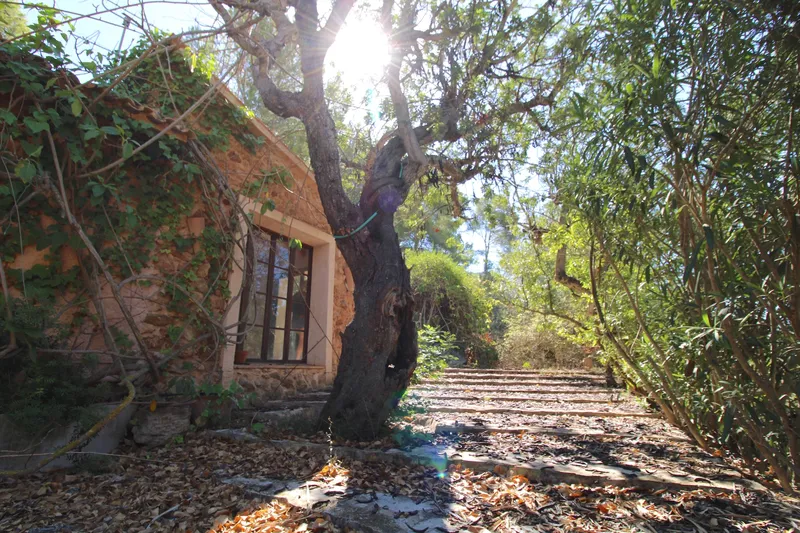 Ref.2473C – Romantic finca with pool and mountain views, south-facing — photo 6