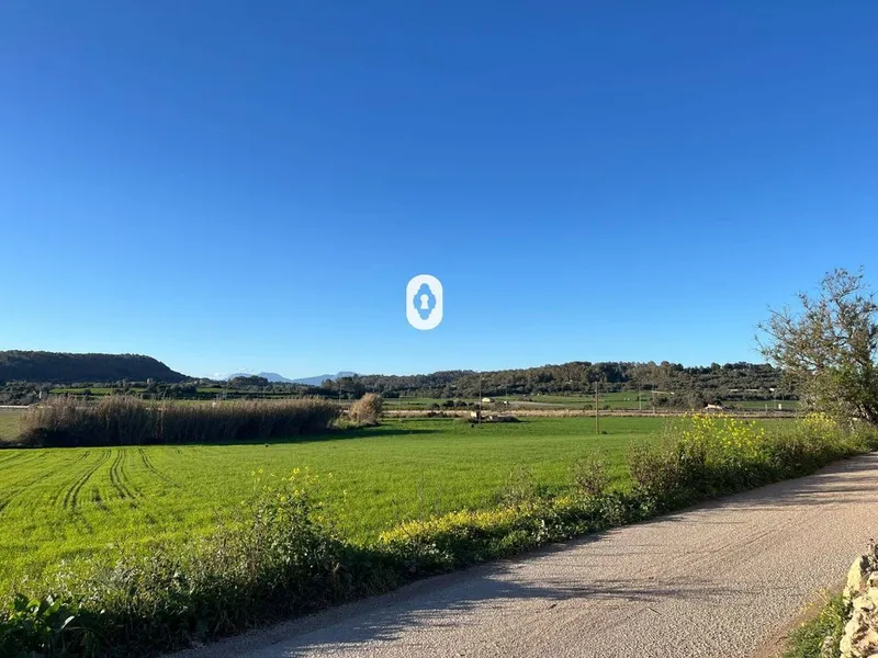 Land in Montuïri, Province of Balearic Islands — photo 12