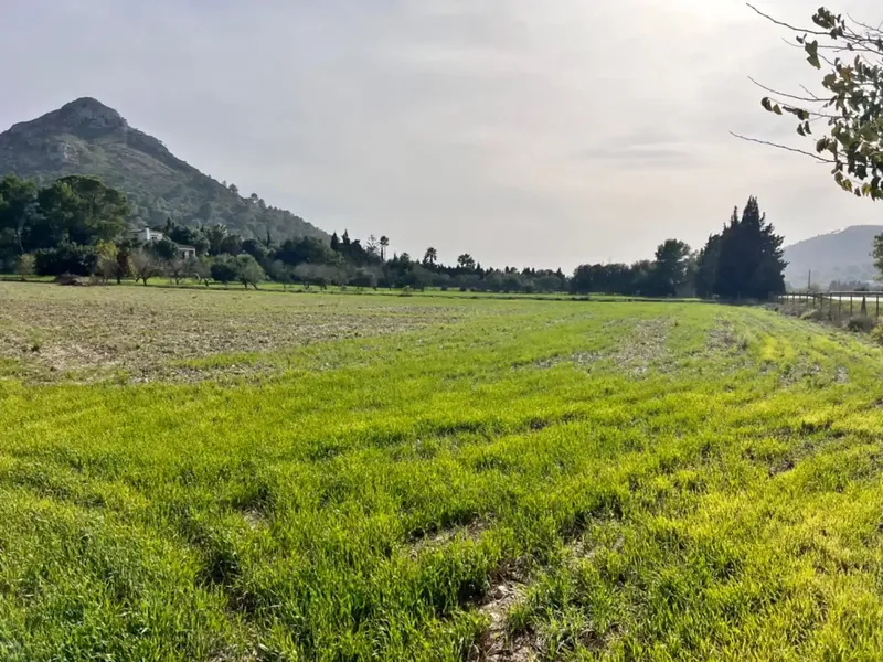 On the outskirts of Alcudia, we have this finca of about 12,900 m2 of land, with a water well, fenced finca, with 1 building in ruins. — photo 1