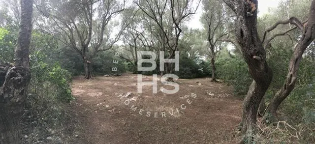 Country plot for sale in Felanitx — photo 9