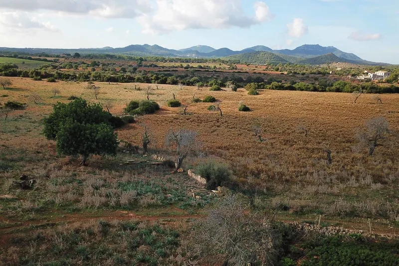 V582 – Renovation-required finca with sea views near Cala Murada — photo 11