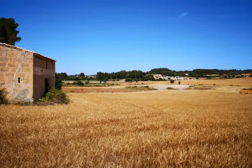 Montuiri, Exclusive New-Build Country House near Montuïri by an Internationally Award-Winning Architect — photo 10