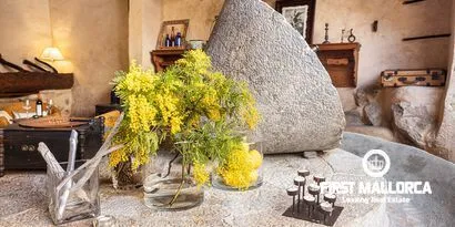 Charming boutique hotel in the Tramuntana mountains — photo 8