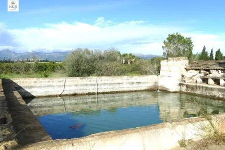 Rustic property - Llubí (Llubi), Built Surface 208m², Plot Surface 7500m², Distance to the sea 15 km — photo 5