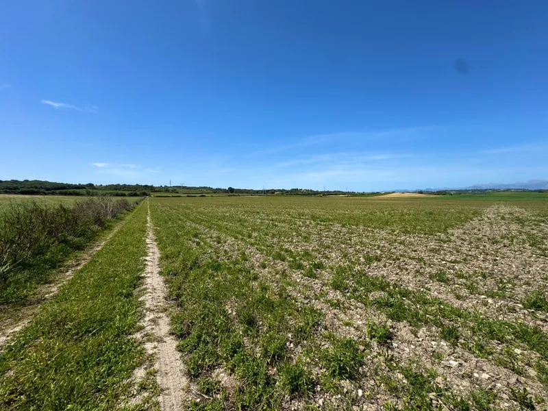 Exclusive Real Estate Opportunity in Petra Dream Plot with Endless Possibilities — photo 4
