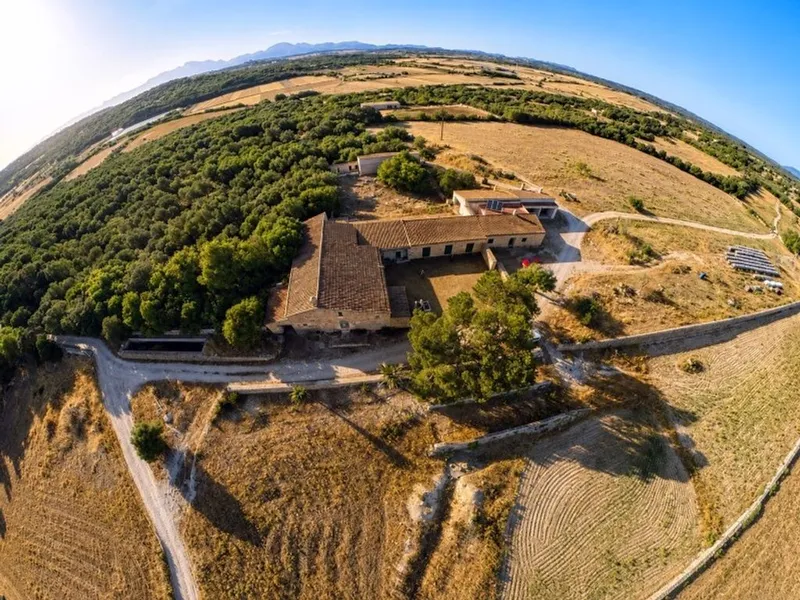 Rural or Farmhouse in Ariany, Province of Balearic Islands — photo 11