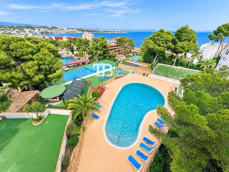 Taylor Building Real Estate sells this cozy renovated studio with sea views and balcony in Illetas, Calvià — photo 11