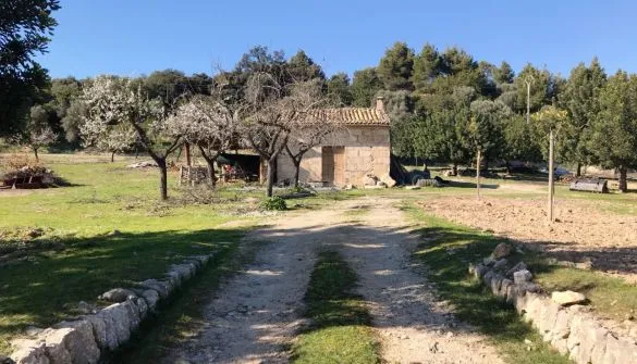 Plot in Selva — photo 1