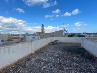 Building - Manacor (Portocristo), Built Surface 550m², 250 Distance to the Sea — photo 11