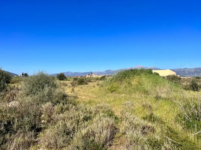 Rustic estate between Sa Pobla and Muro, with over 21,700 m2 of land and several constructions, one of them a large safareig and the other a — photo 12