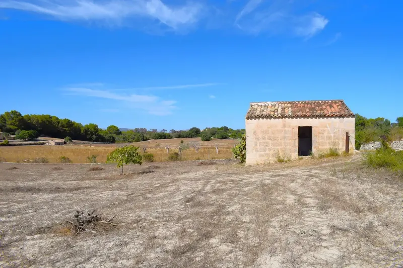 Finca rústica edificable de 32.462 m2, situada entre Llubí y Santa Margalida, en un entorno tranquilo y con hermosas vistas abiertas a la Se — photo 2