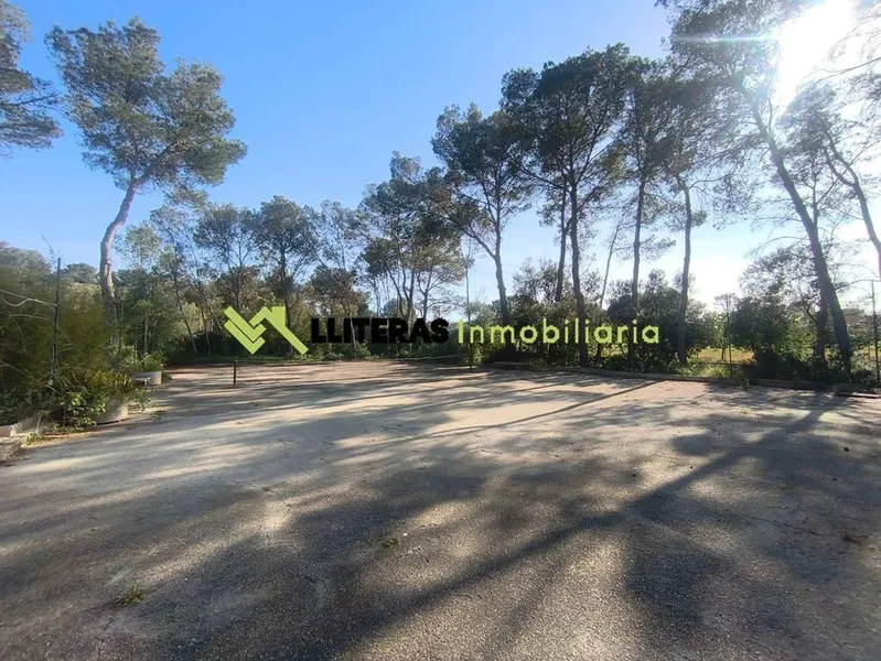 Rural or Farmhouse in Algaida, Province of Balearic Islands — photo 4