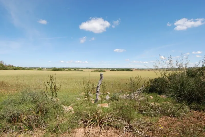 Plot with construction license located 800 meters from Ses Salines — photo 1