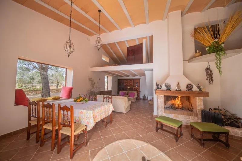Beautiful rustic estate — photo 4