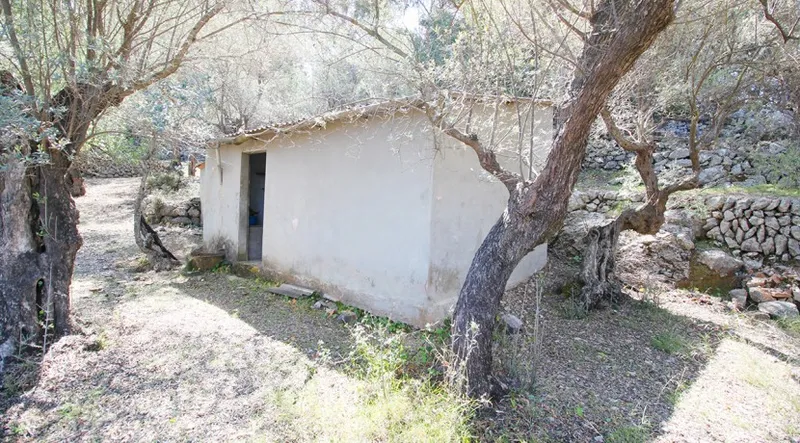 Reduced!!! Olive grove with stunning views of the Port of Sóller — photo 7