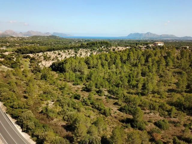 Large country plot for sale near the town of Pollensa, Mallorca — photo 9