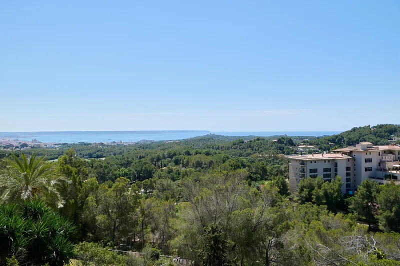 Top investment in Son Vida - Marcel Remus Real Estate — photo 10