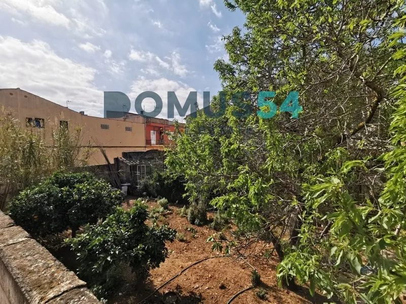 plot in Muro — photo 2