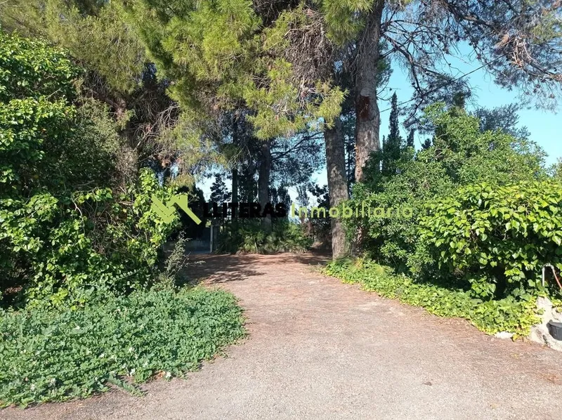 Rural or Farmhouse in Lloseta, Province of Balearic Islands — photo 10