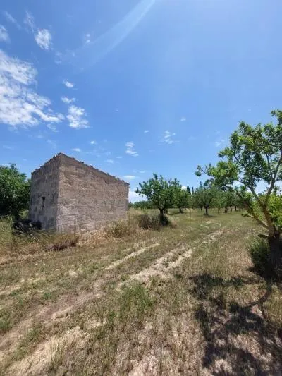 Rustic Land - Inca (Peri-urban Zone) — photo 10