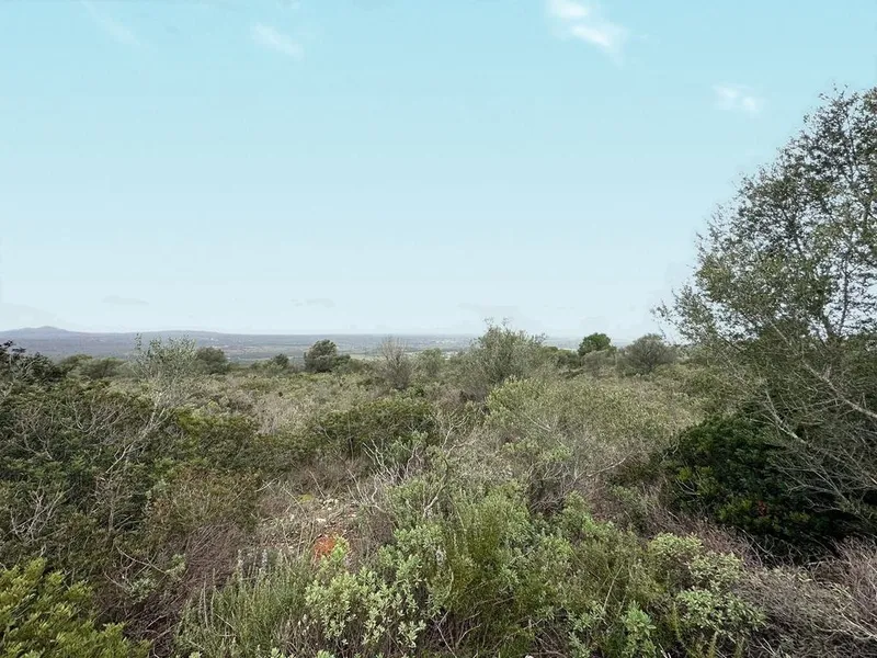 Land in Marratxí, Province of Balearic Islands — photo 3