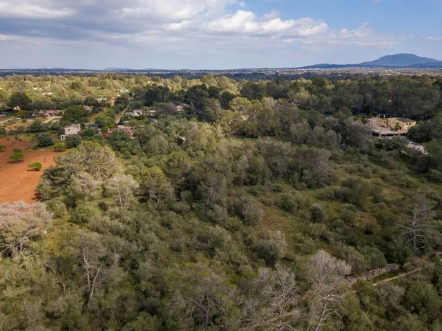 Spacious plot of land for sale in tranquil Algaida, central Mallorca — photo 7