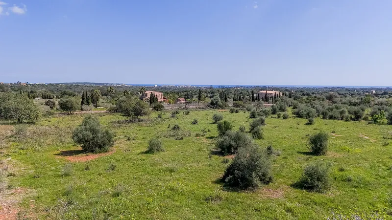 Plot with sea views 10 minutes from Porto Cristo — photo 1