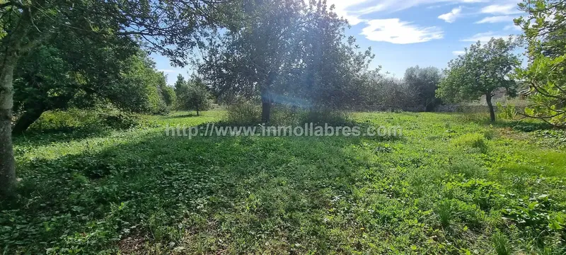 Unique opportunity on the outskirts of the charming municipality of Sencelles, on the beautiful island of Mallorca. This huge rustic estate — photo 5