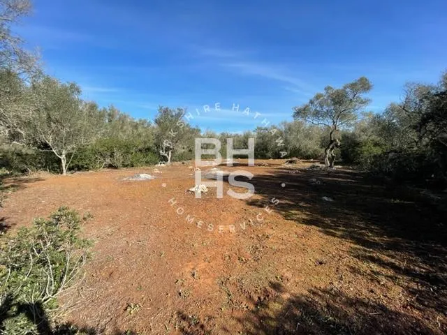 Country plot for sale in Felanitx — photo 3