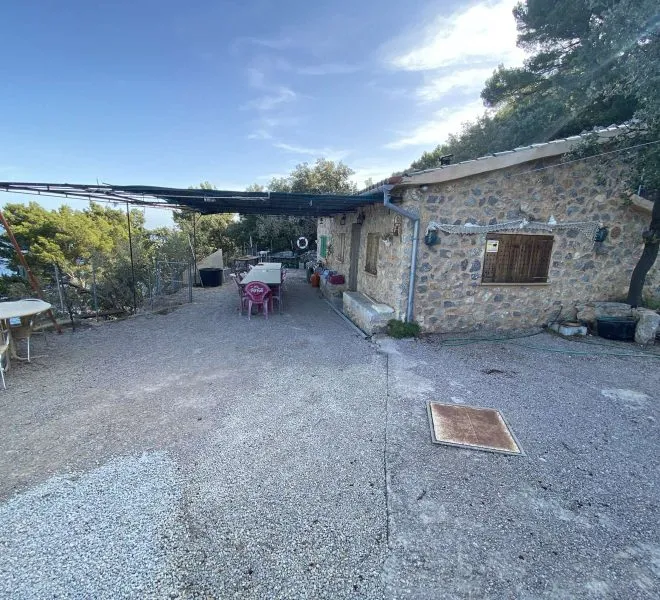 Great olive grove with sea views in Puerto de Sóller. — photo 1