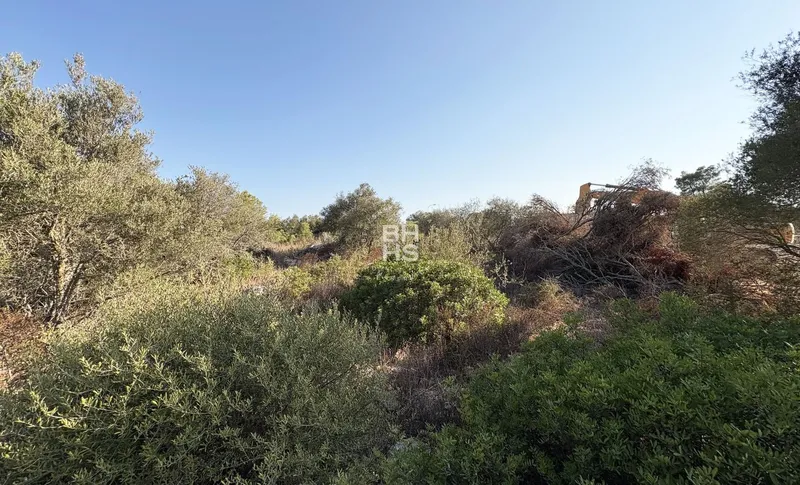 Single-family plot for sale in Son Gual — photo 5