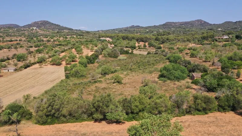 Nice plot with building license of about 330m2 in the area of Es Pujol in Alqueria Blanca — photo 2