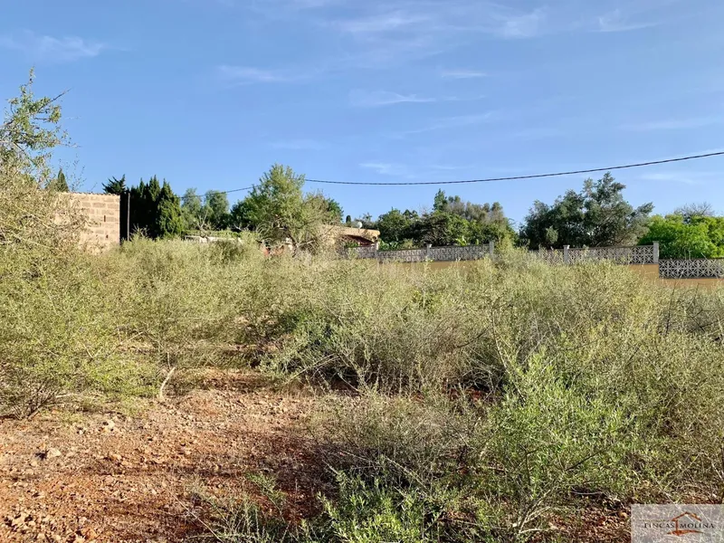 Building Site - Palma de Mallorca (Sant Jordi) — photo 1