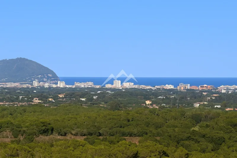 57,000 m2 plot with house project with pool in Manacor — photo 12