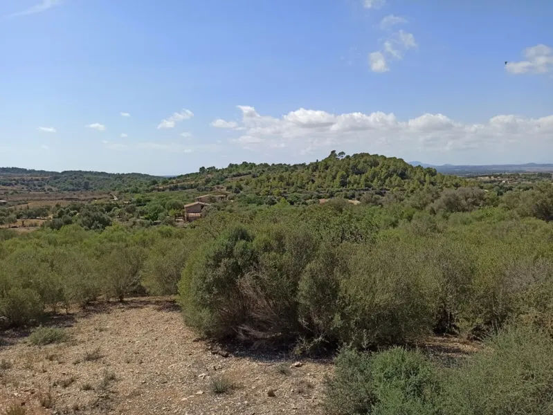 Finca Top Location for Renovation for Sale in Son Macia — photo 11