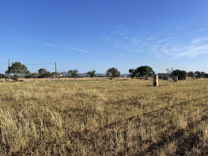 Plot Between Campos and Sa Rapita — photo 4