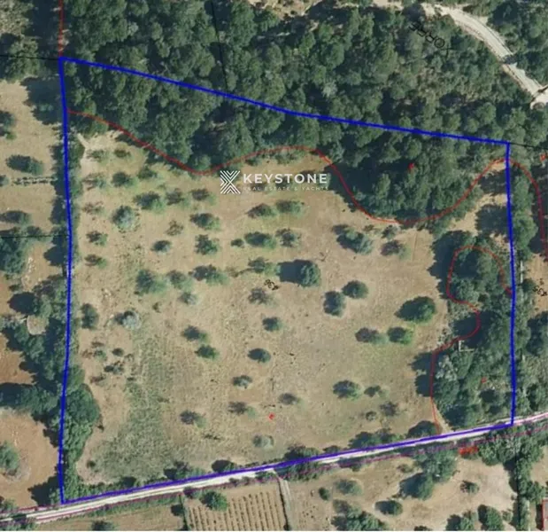 Plot — photo 9