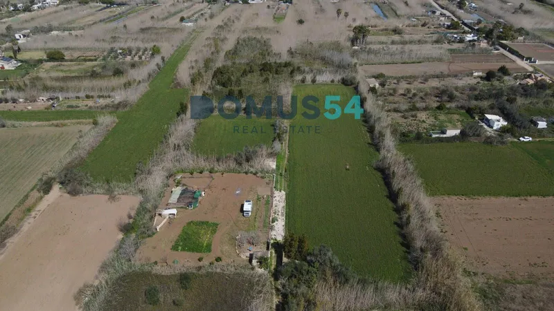 Rustic land not to be built on in Sa Pobla — photo 4