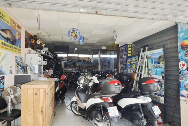 Commercial premises in Puerto de Alcudia — photo 5