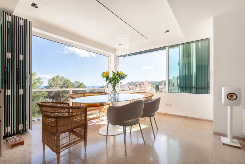 Penthouse — photo 7