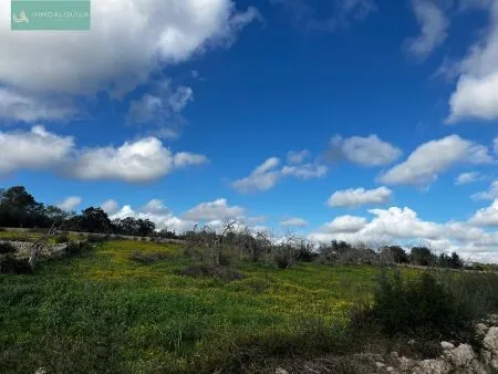 Plot of land - Llubí (Llubi), Plot Surface 14516m² — photo 5