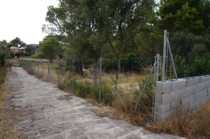 Plot for sale in Valldemossa — photo 7