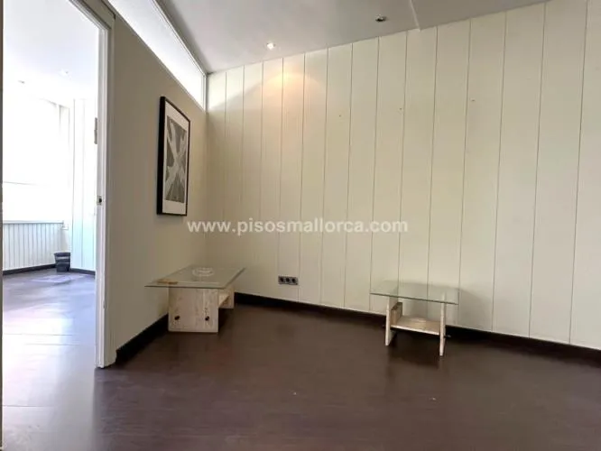 Office / Workspace. Palma de Mallorca, Paseo Marítimo area — photo 7