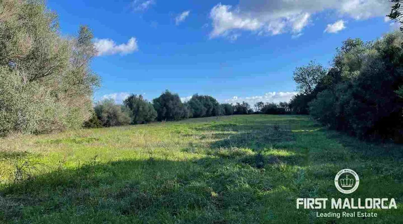 Real estate picture 0 Ref. No. 73251 — photo 4