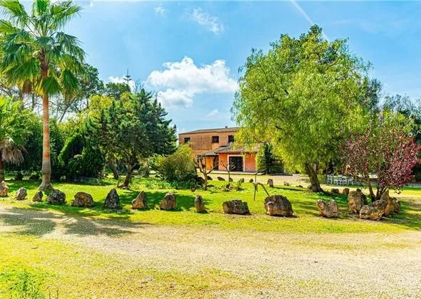 Estate in Diseminado Diseminados Var, 19, Algaida — photo 3