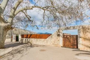 Rustic property of 23000 m2 — photo 6