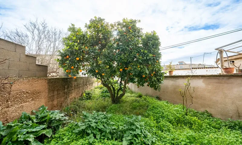 House with great potential in the center of Montuiri — photo 5